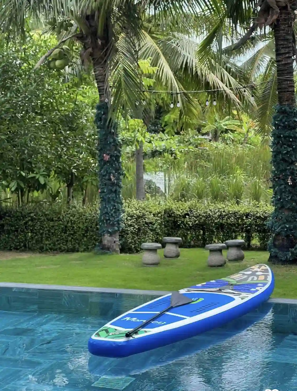 Ảnh đánh giá Viva HT10 2