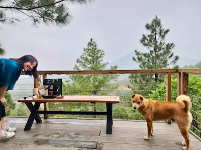 Ảnh đánh giá Viva S002 - Sân Pickleball 12