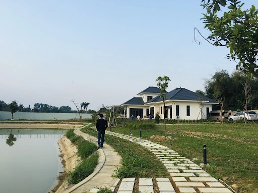 Ảnh đánh giá Viva B45 1