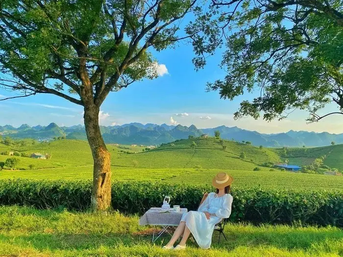 Ảnh đánh giá The Nordic Village Mộc Châu 9