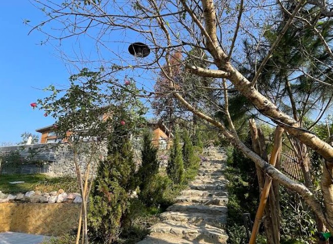 Ảnh đánh giá Viva B15 2