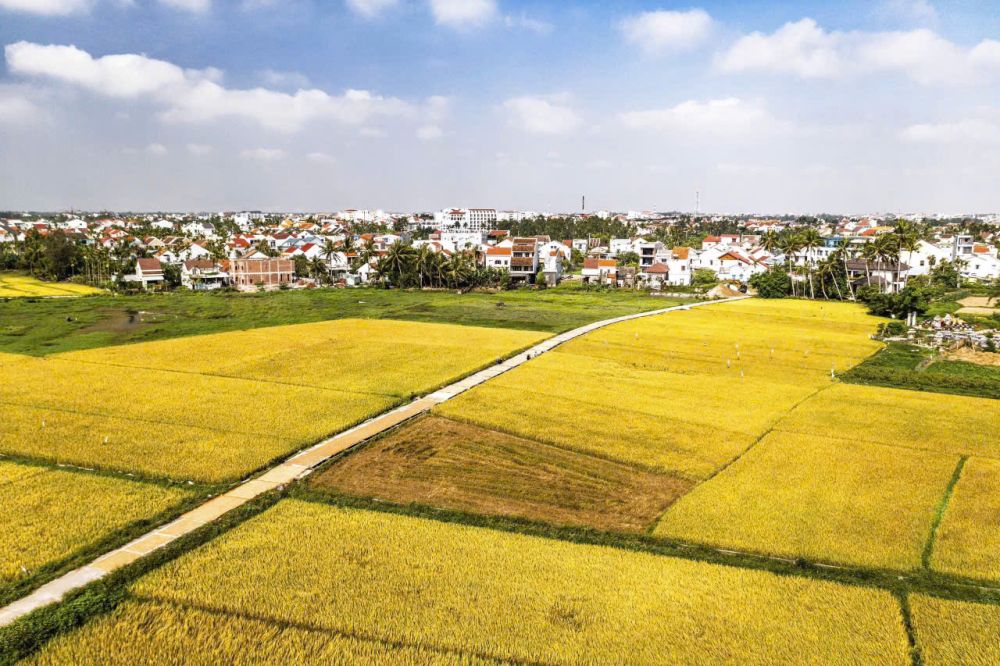 Ảnh Viva HA15