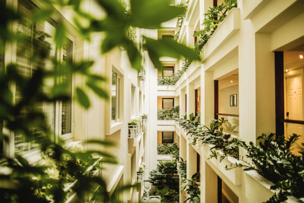 Ảnh Apricot Hotel