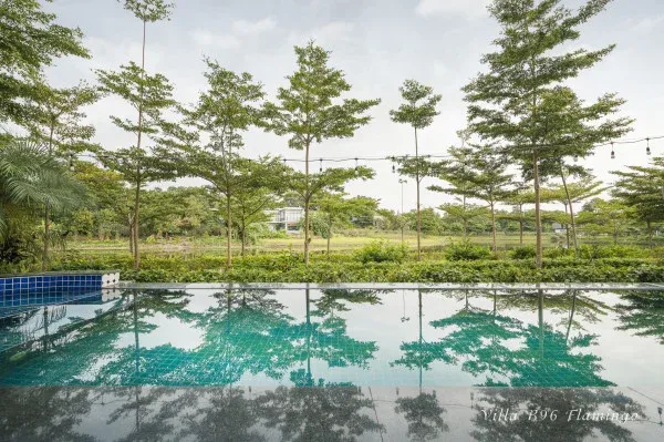 Ảnh B96 Flamingo Đại Lải