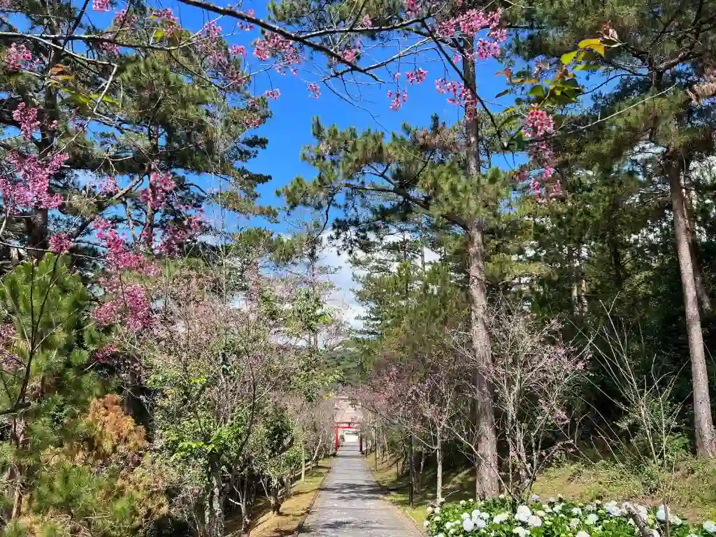 Ảnh Dalat Edensee Lake Resort & Spa