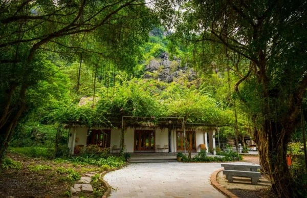 Ảnh Hang Mua Ecolodge