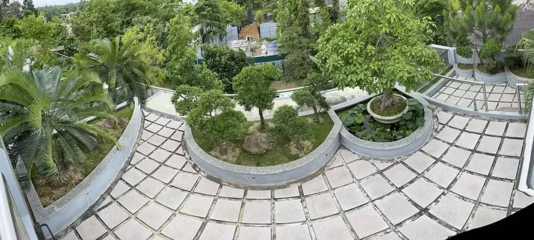 Ảnh B101, Flamingo Đại Lải