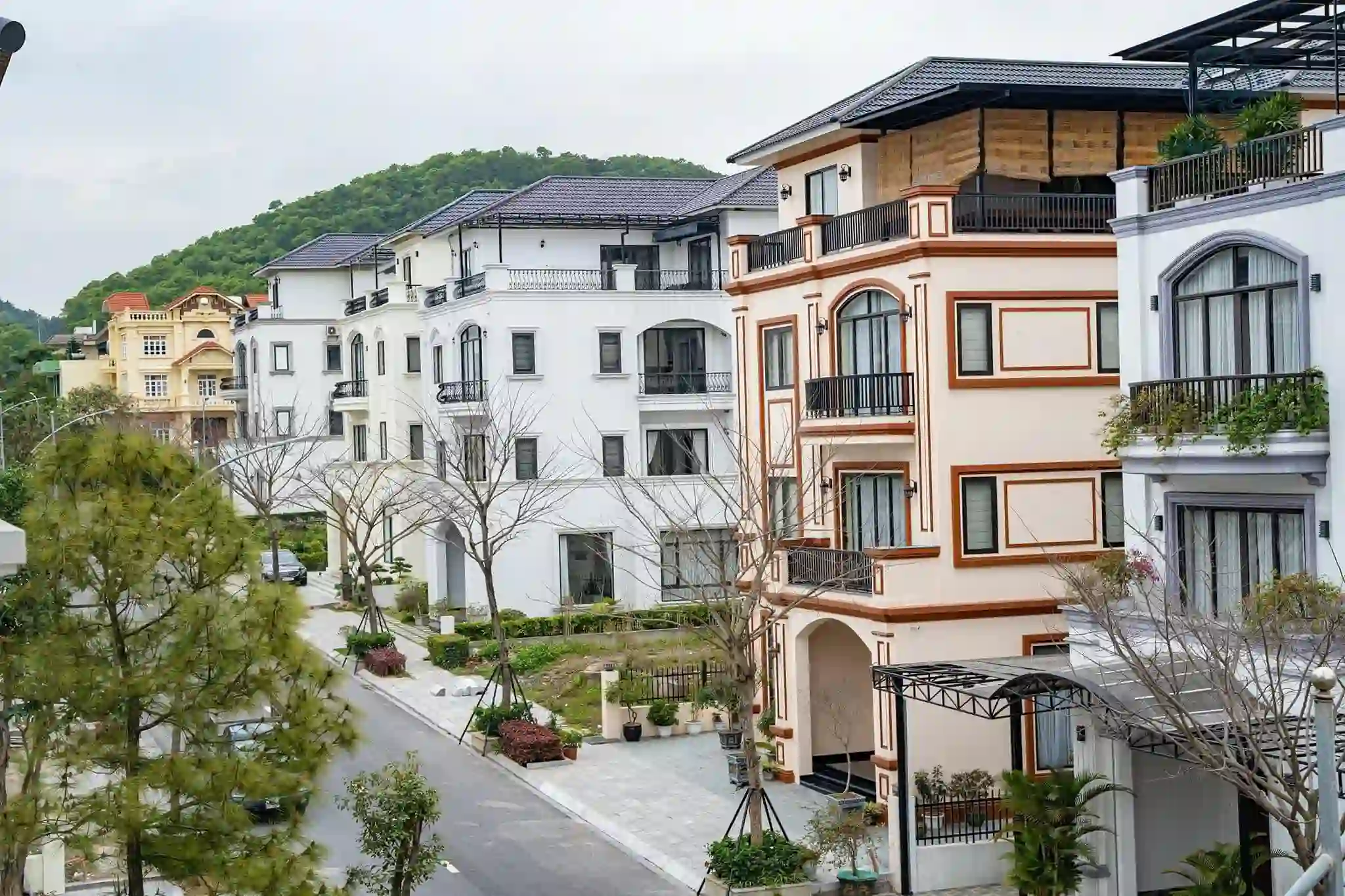 Ảnh Viva Q34