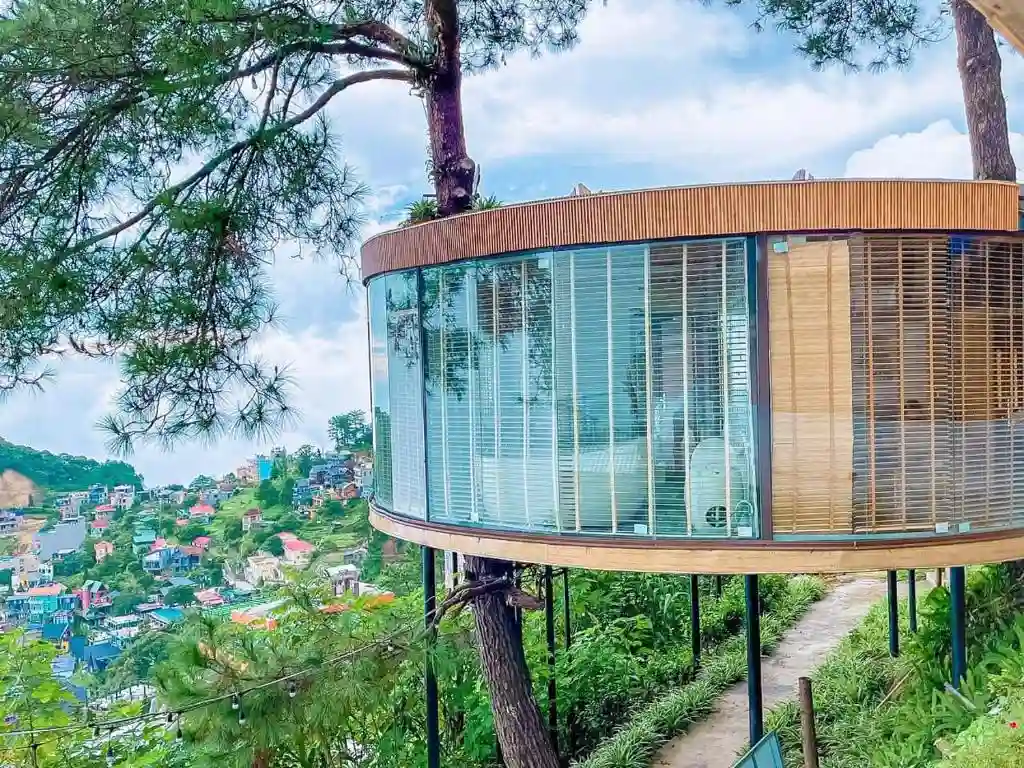 Ảnh Viva Homestay T7