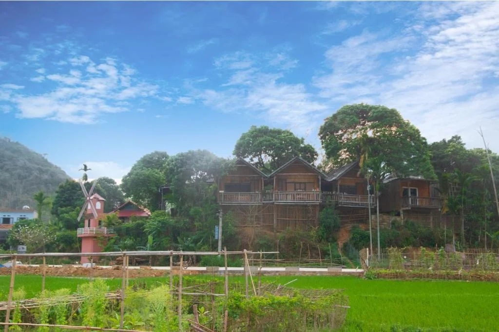 Ảnh Viva Mai Châu B7