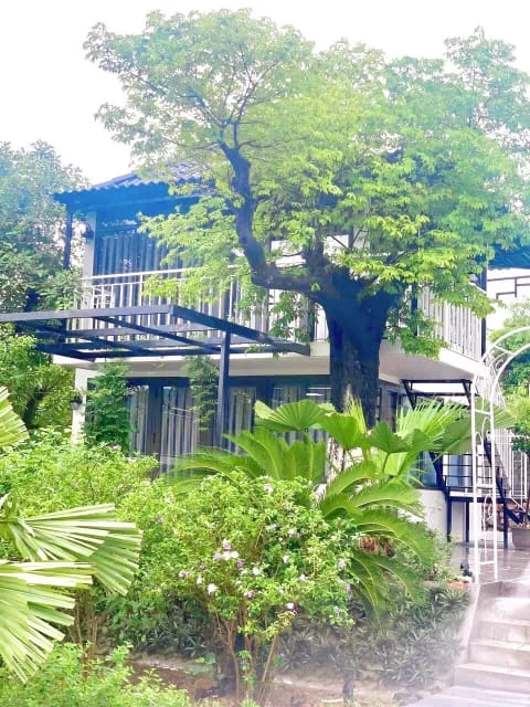 Ảnh Viva HB19