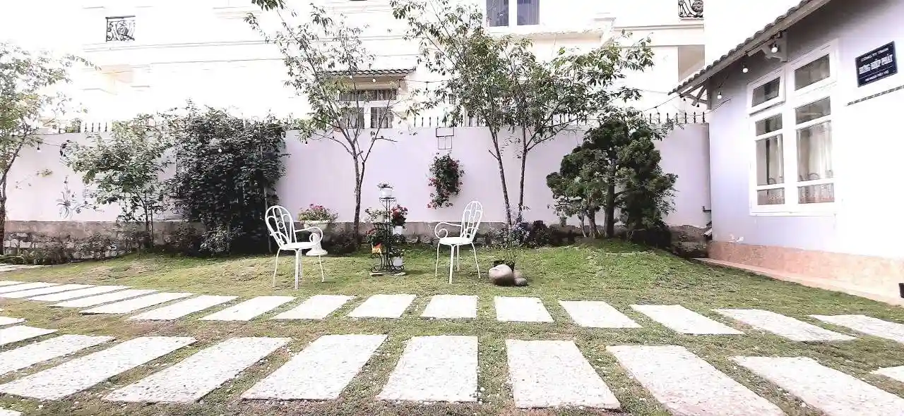 Ảnh Cẩm Tú Cầu 1
