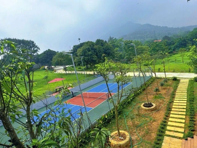 Ảnh Viva BVMT - Sân Pickleball