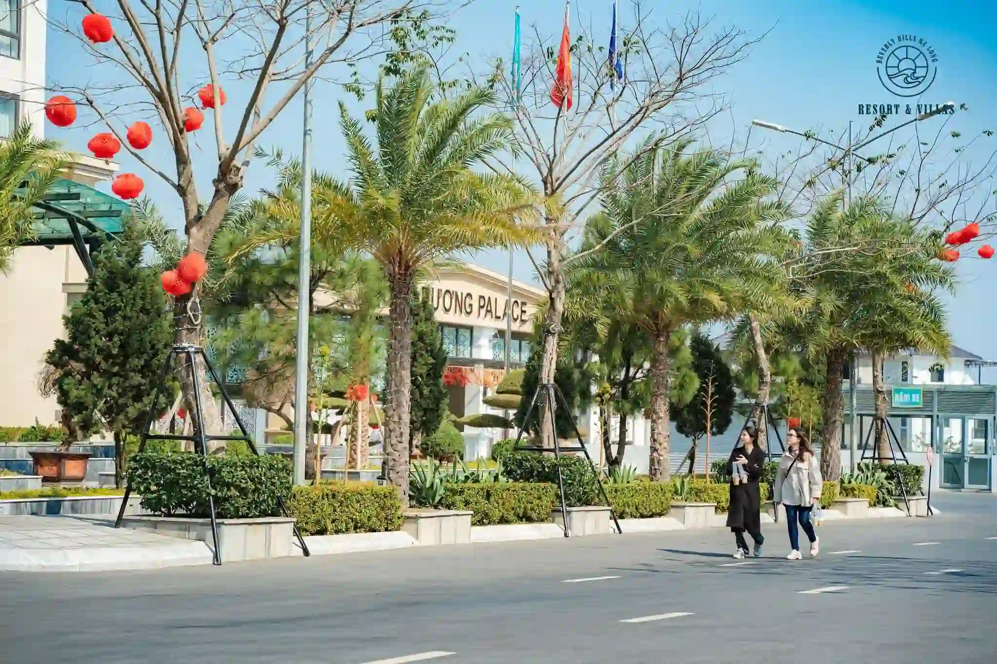 Ảnh Viva Q20