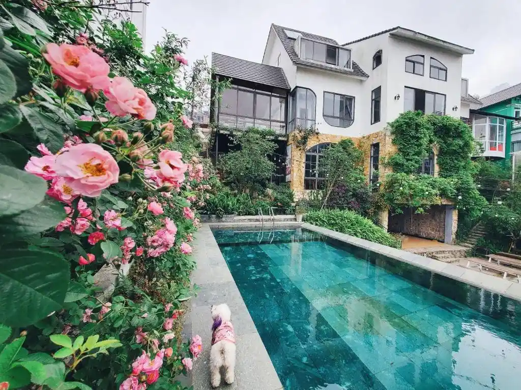 Ảnh Viva Homestay T3