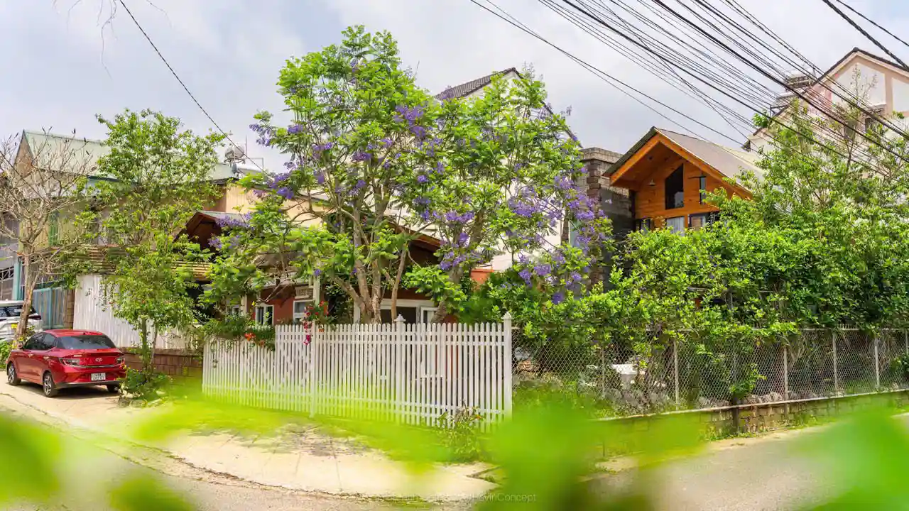 Ảnh Viva Homestay ĐL 08
