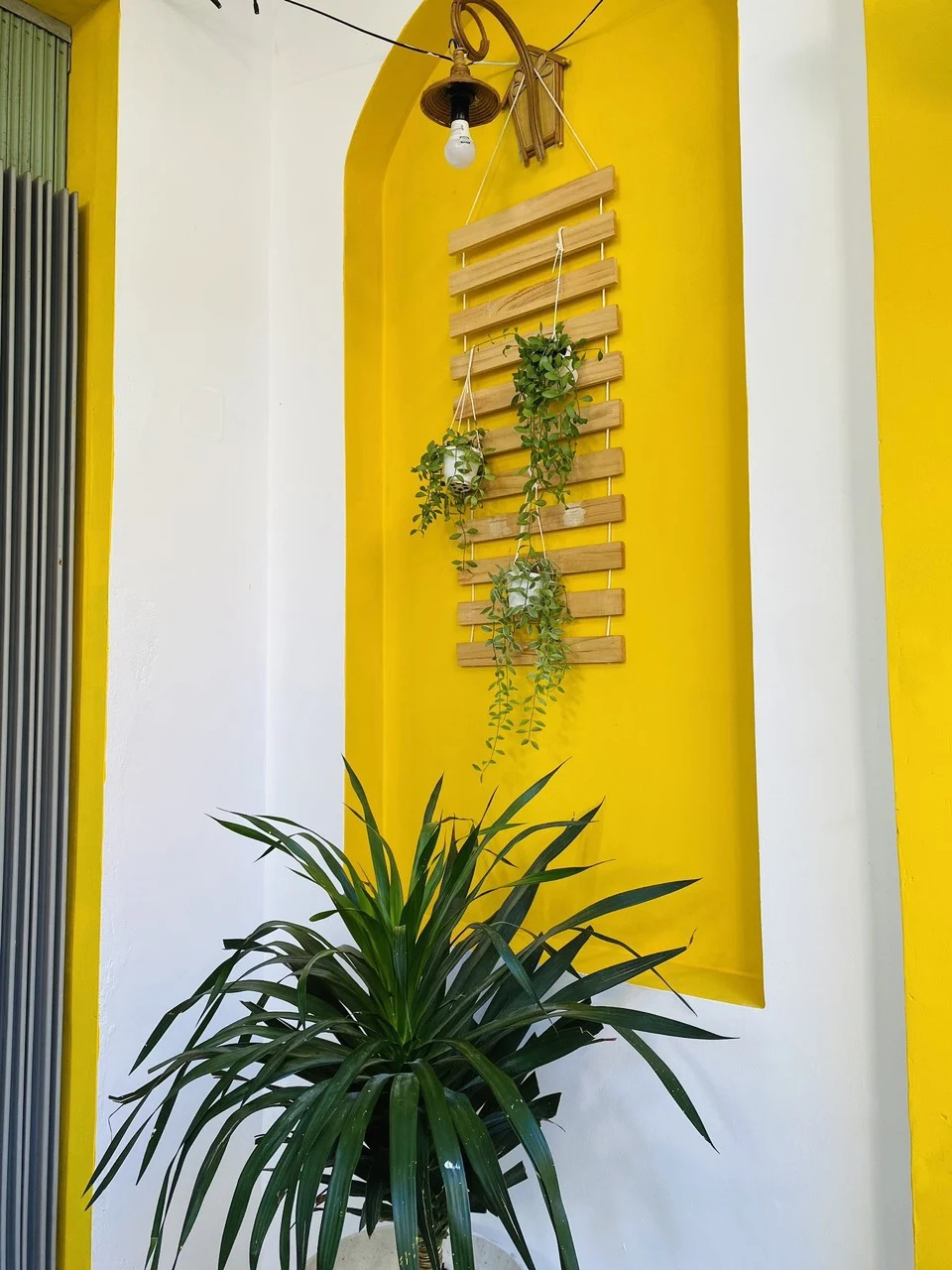 Ảnh Viva Homestay VT 05