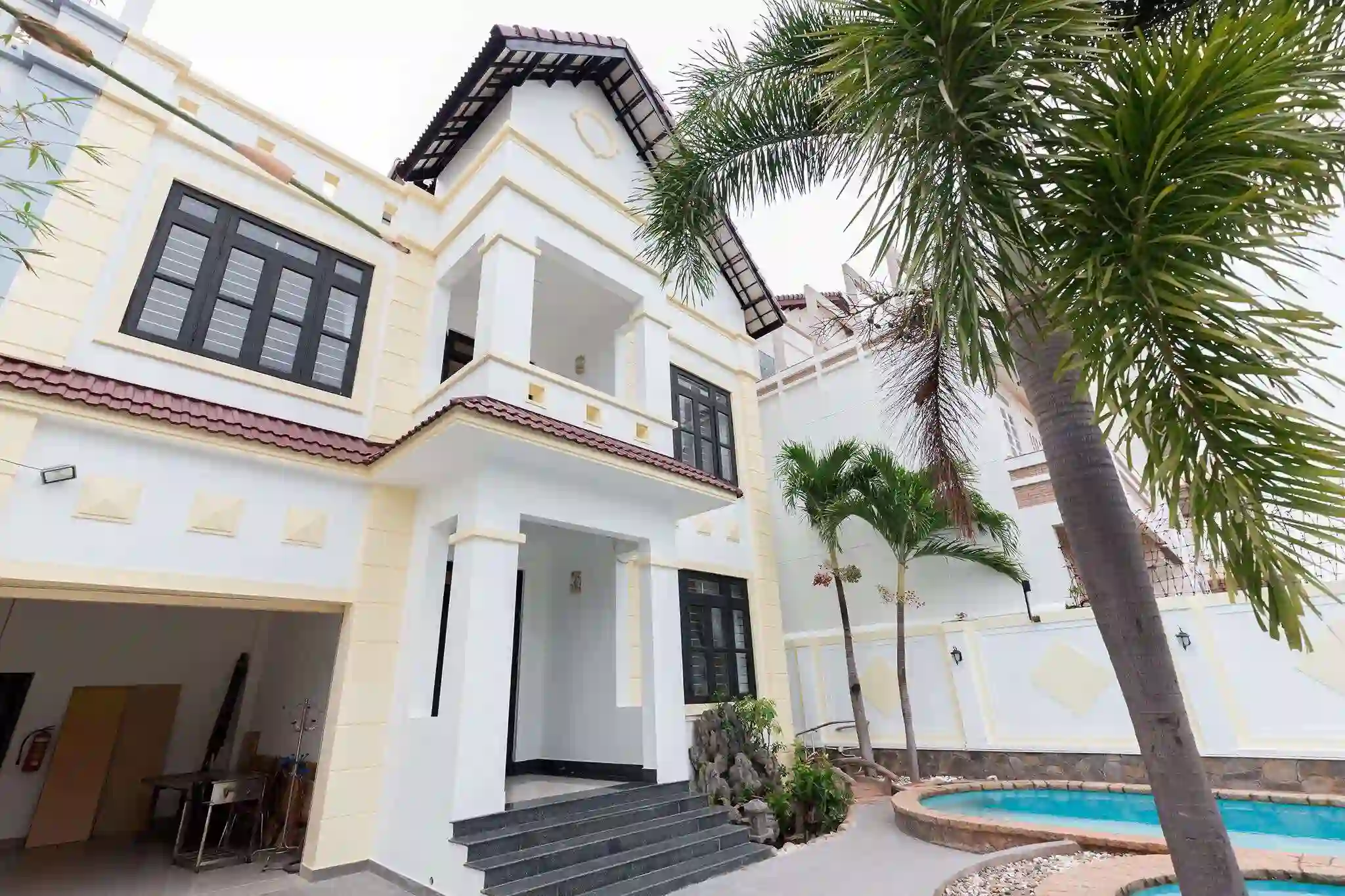 Ảnh Palm 9