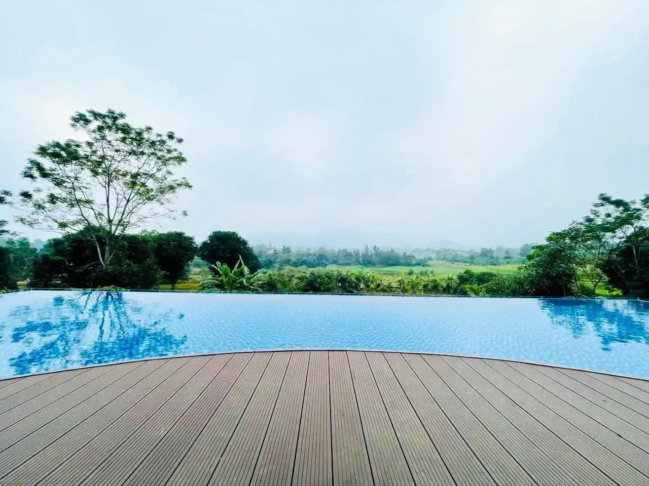 Ảnh VIva B36
