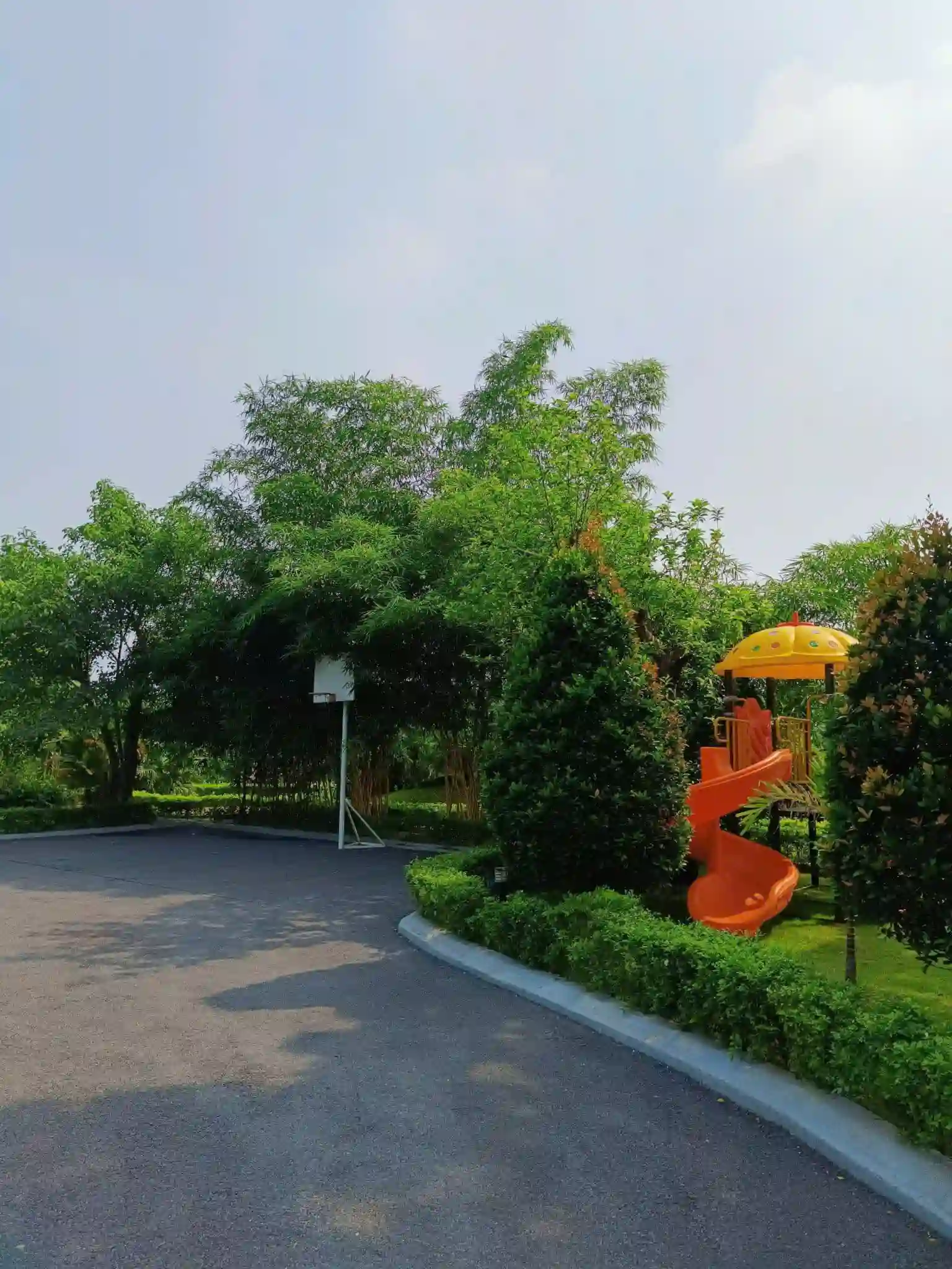Ảnh Viva HB12