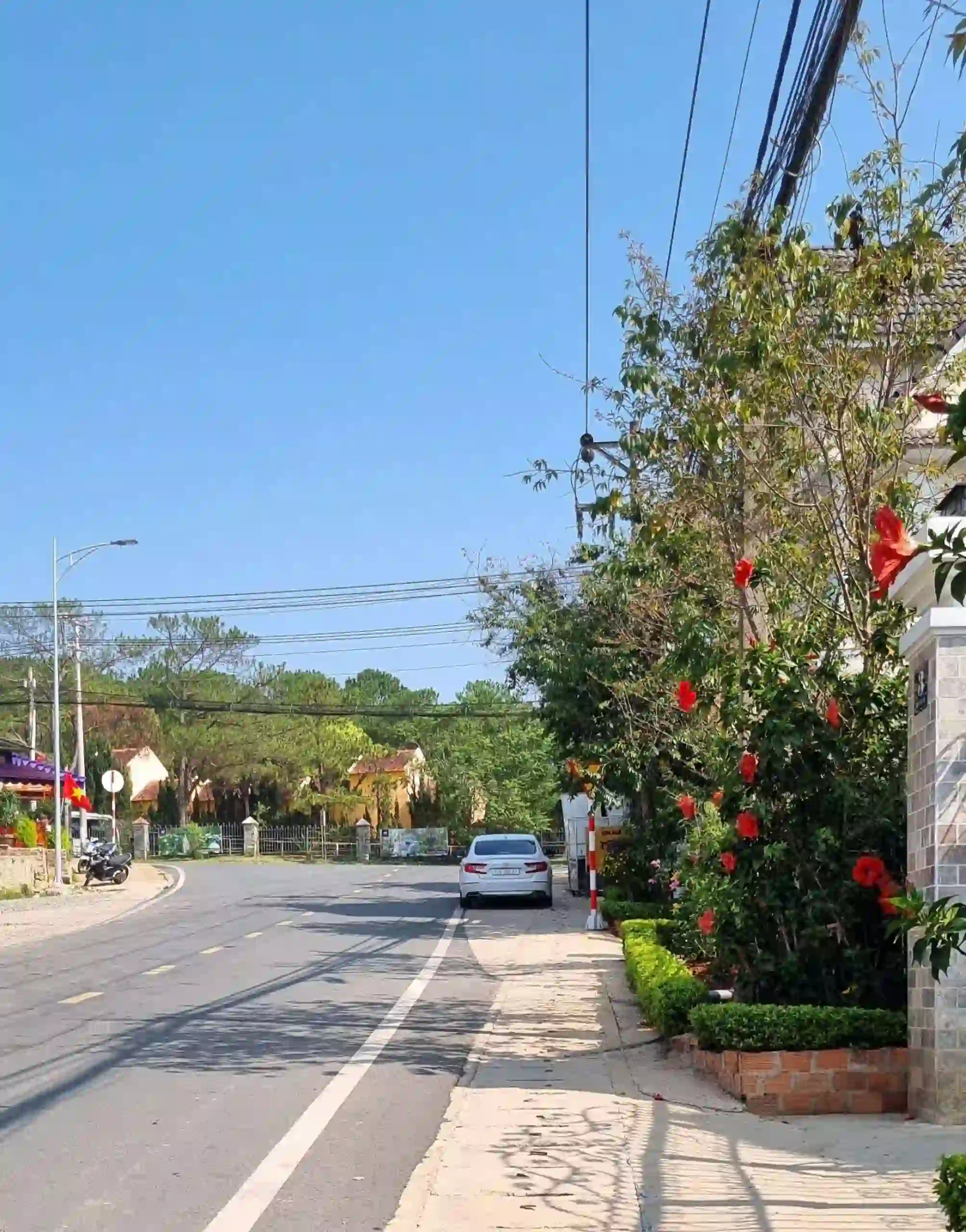 Ảnh Viva ĐL37