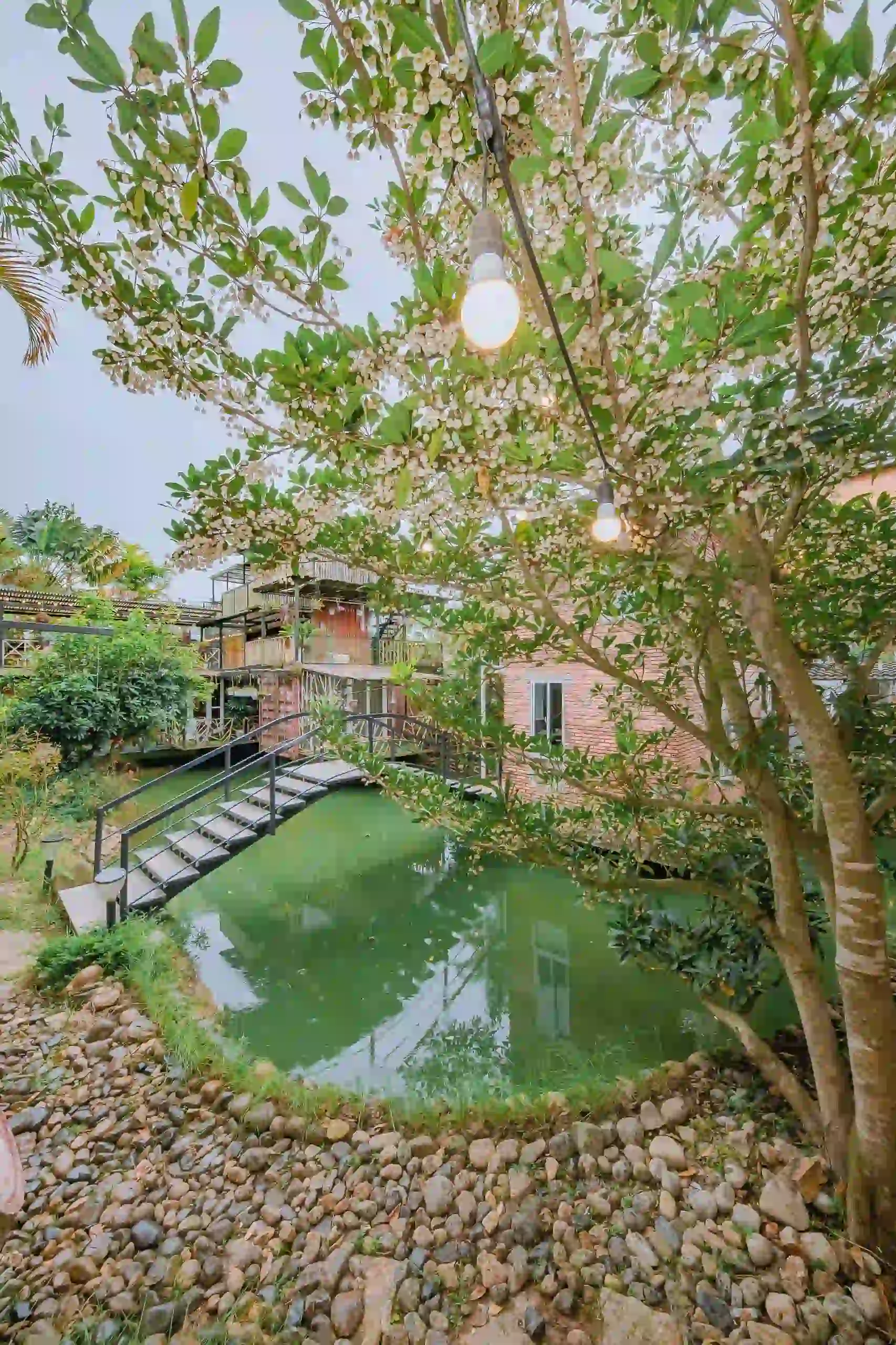 Ảnh Viva Homestay ĐL 12