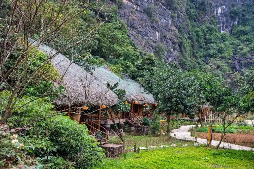 Ảnh Viva Homestay N10