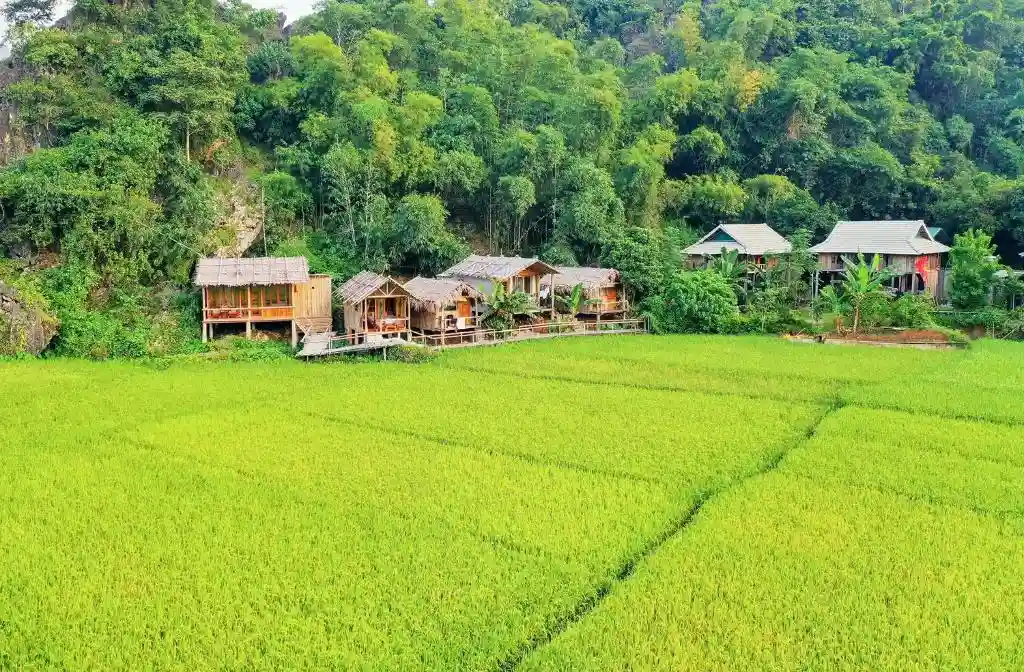 Ảnh Viva Mai Châu B1