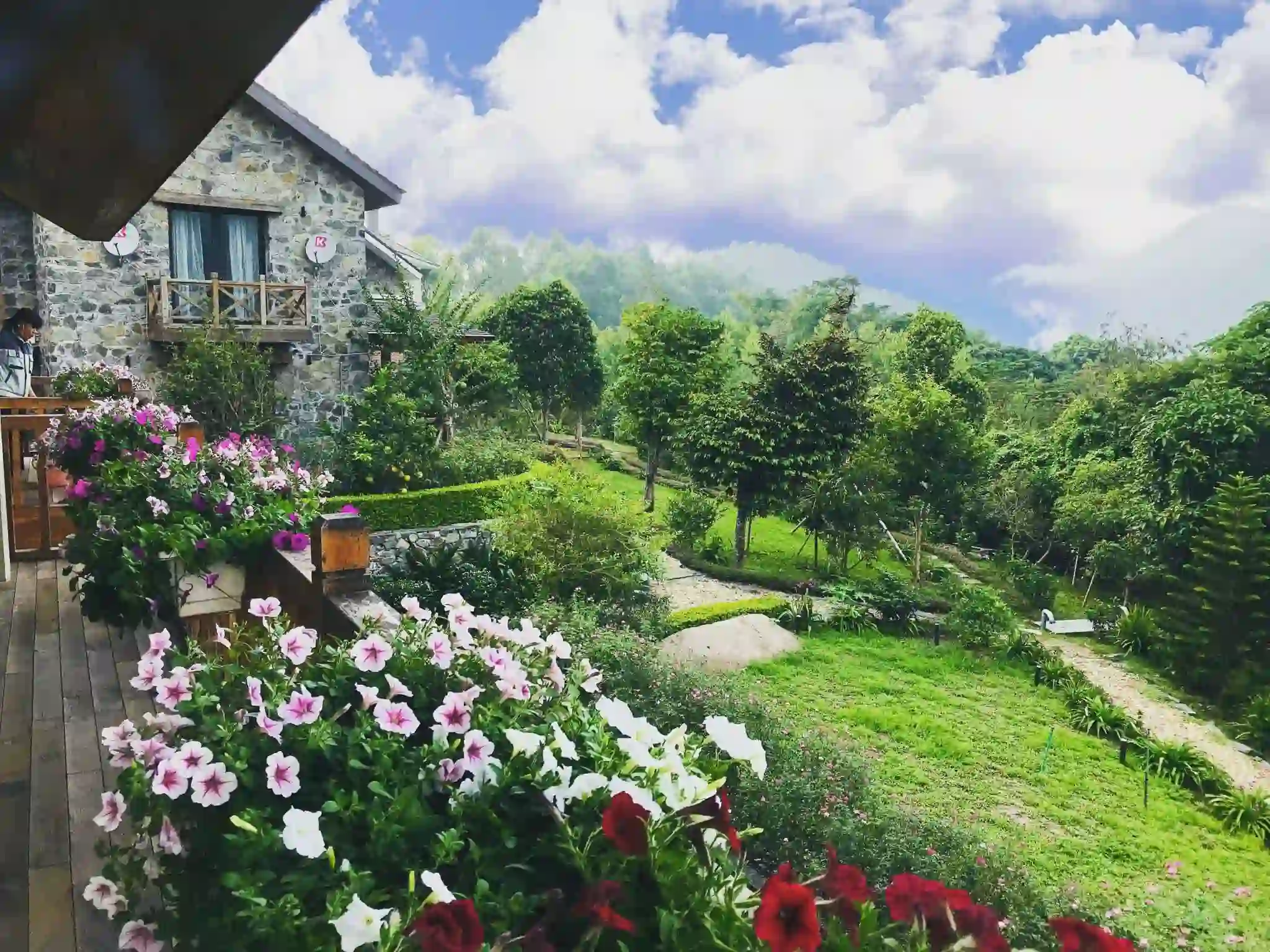 Ảnh Viva TĐ17