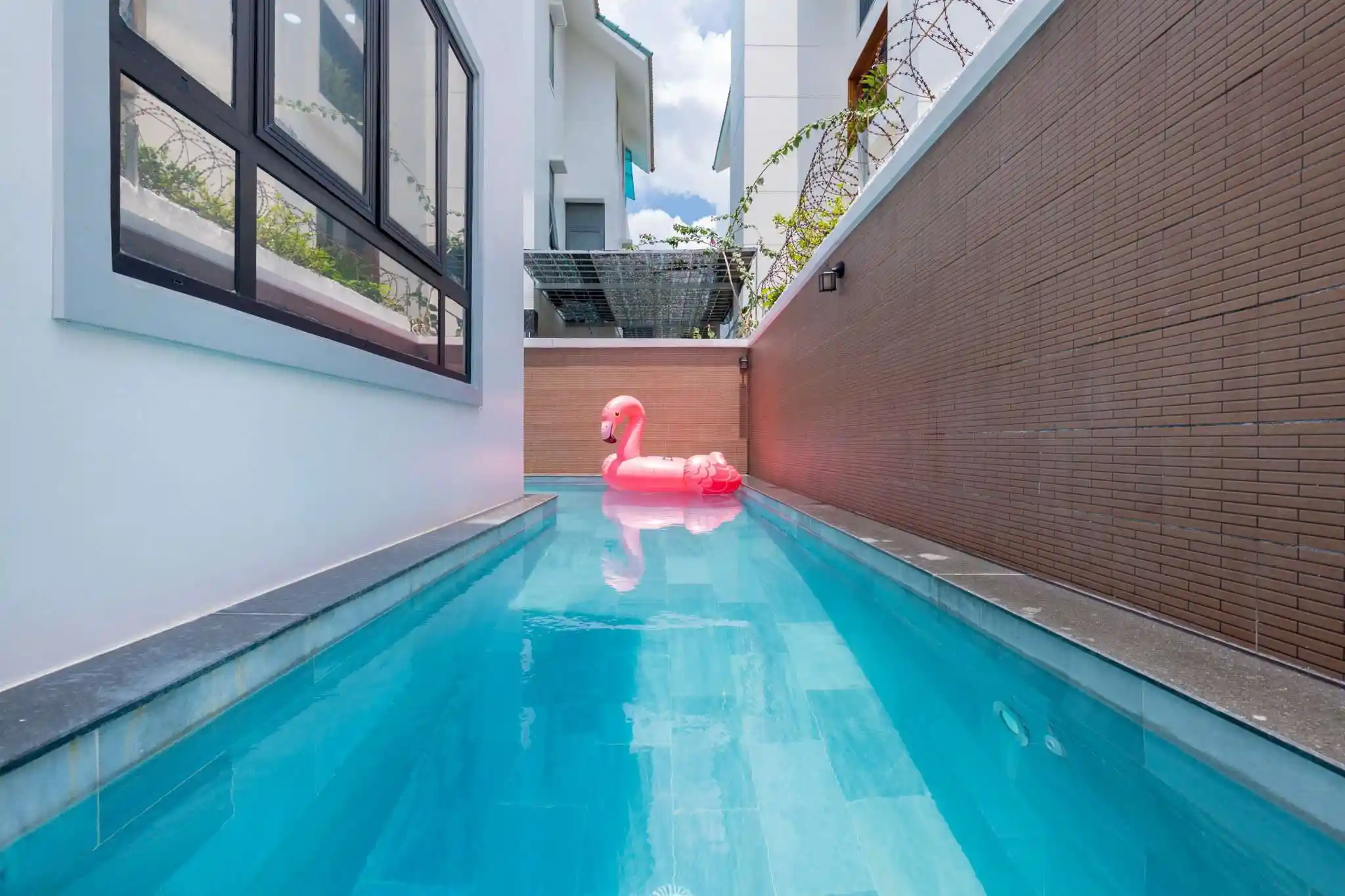 Ảnh Viva VT84