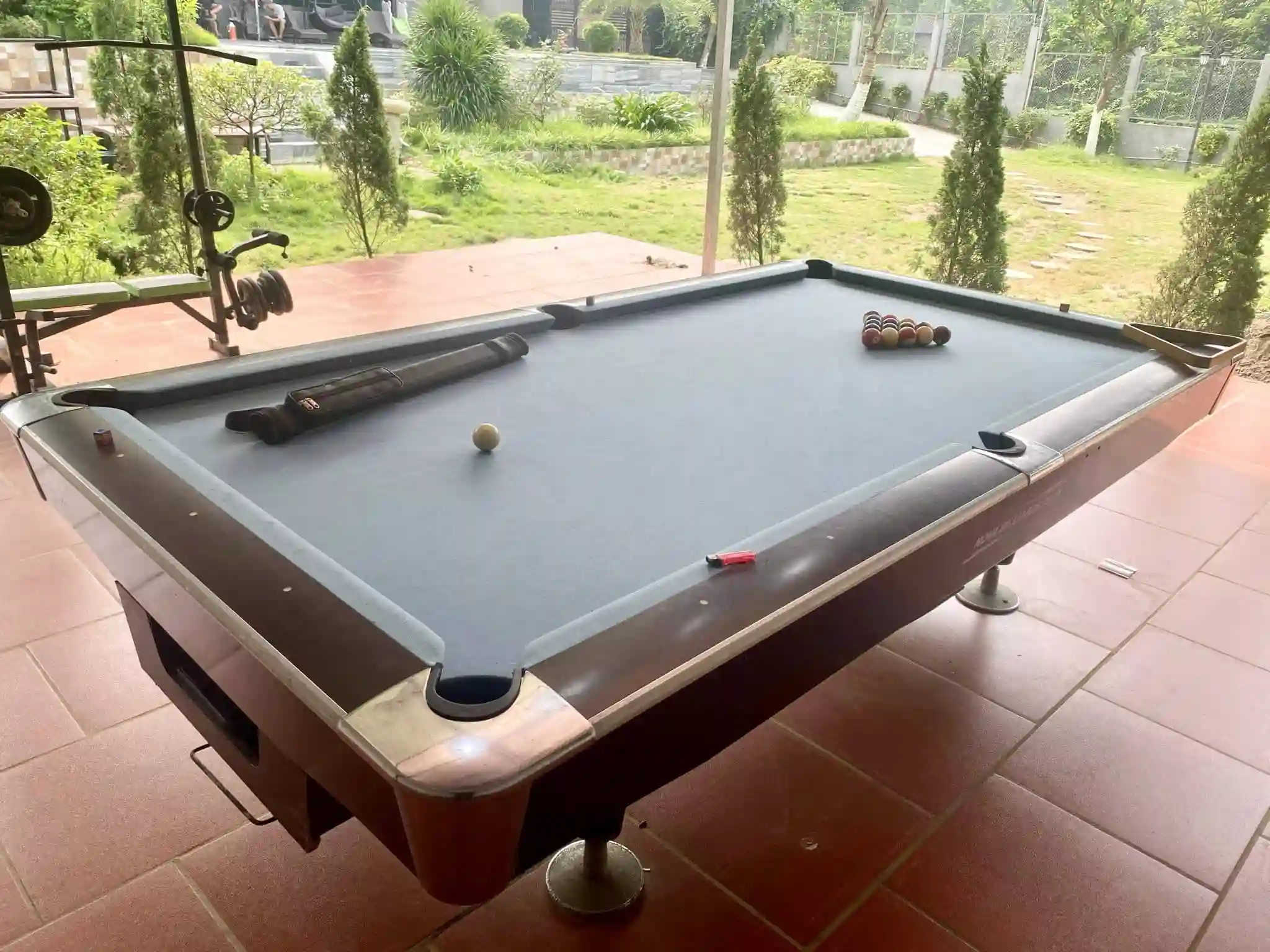 Ảnh Viva S19