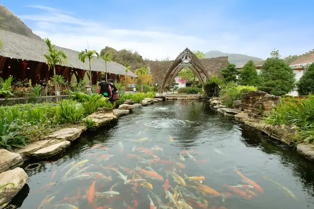 Ảnh Moc Chau Island - Mountain Park and Resort