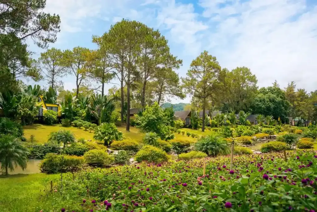 Ảnh Phoenix Mộc Châu Resort