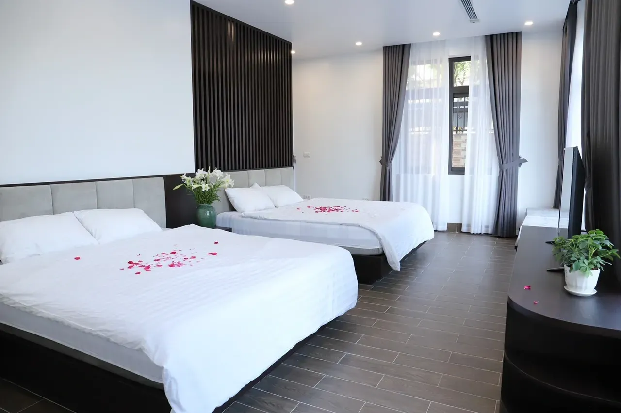 Ảnh Viva S48A