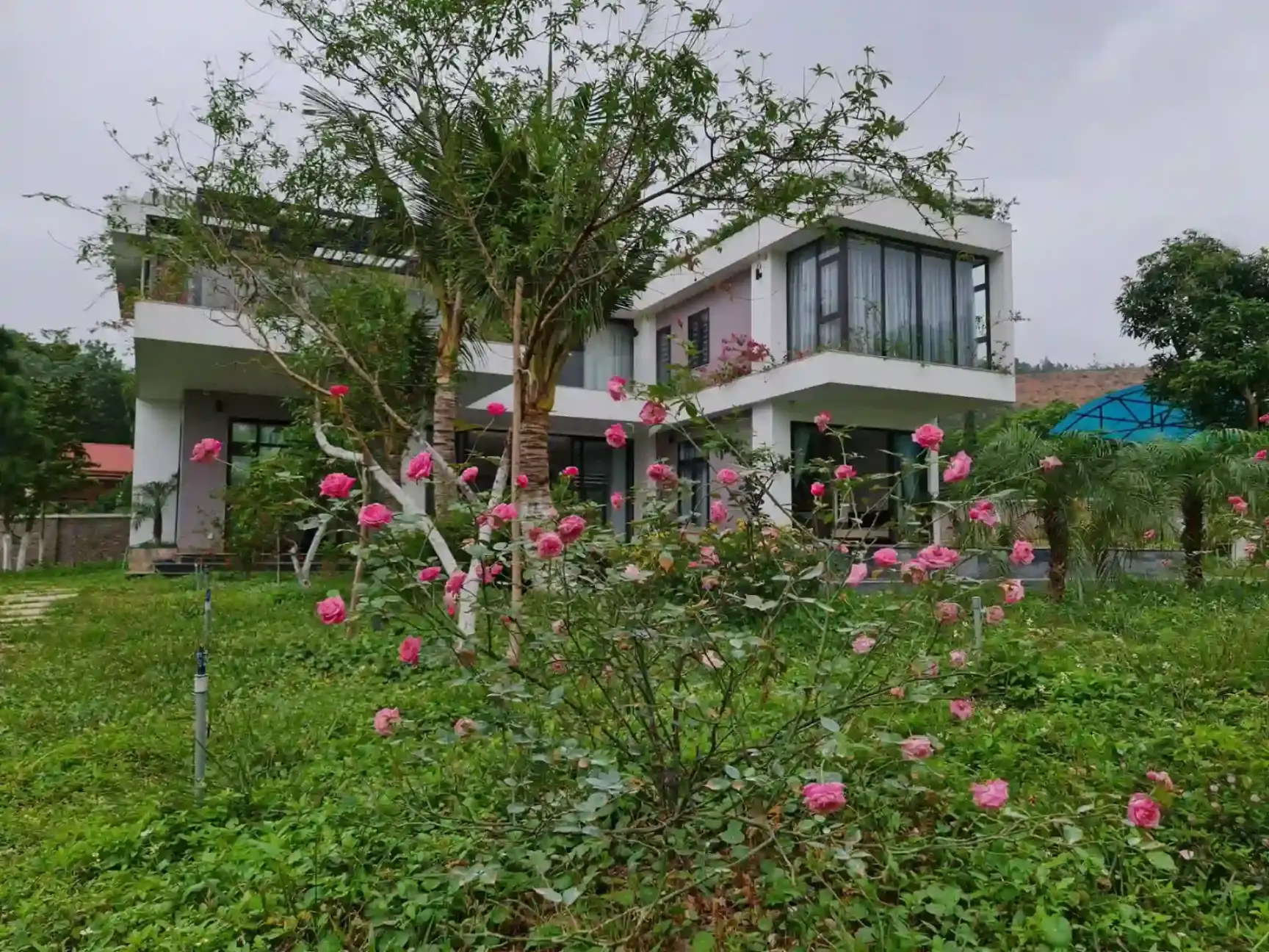Ảnh Viva S68