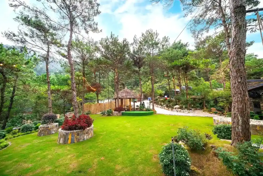 Ảnh Viva SRetreat - View Hồ Đồng Đò