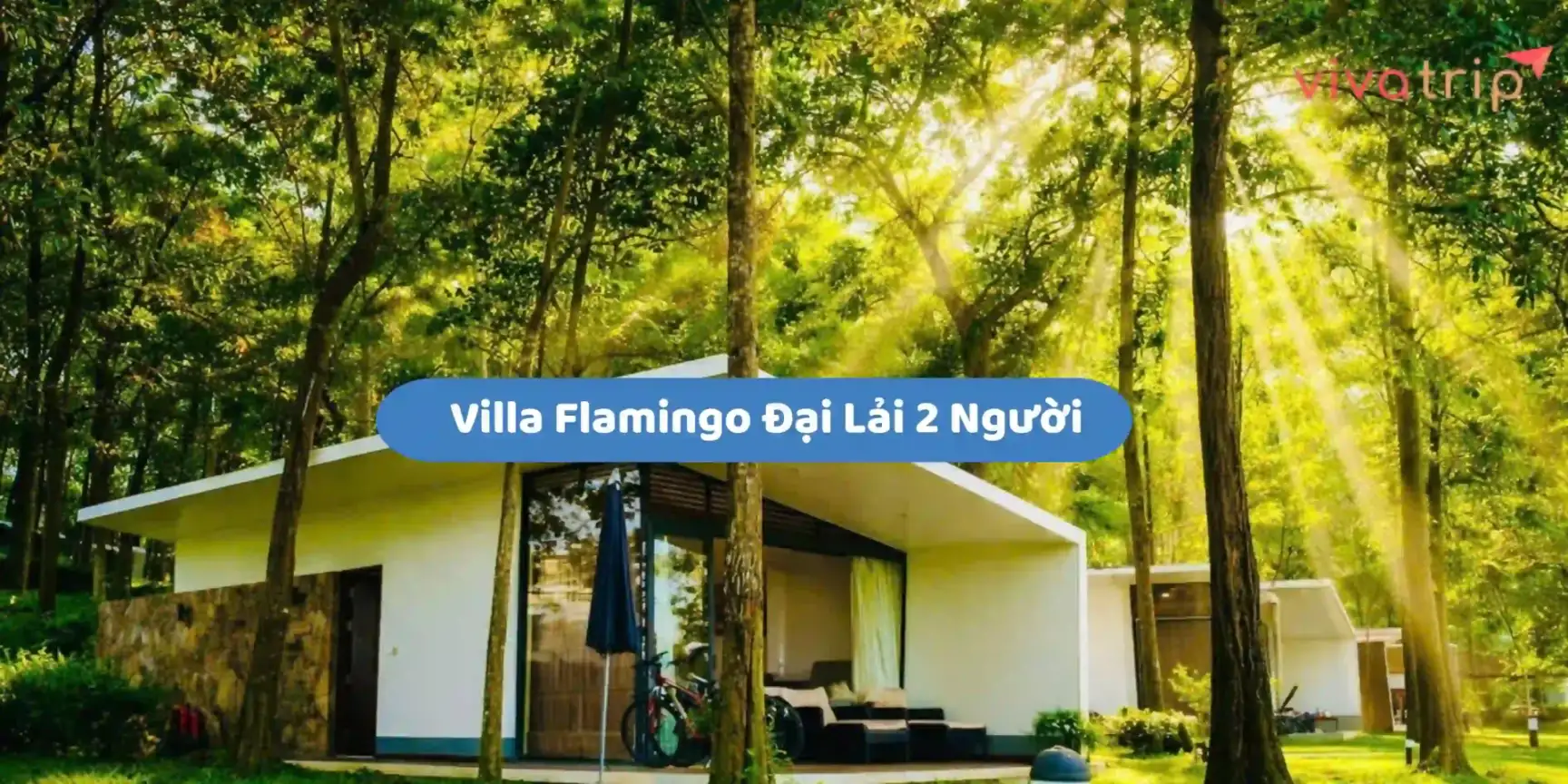 Villa Flamingo Đại Lải 2 người: nên chọn Hilltop hay Forest Villa?
