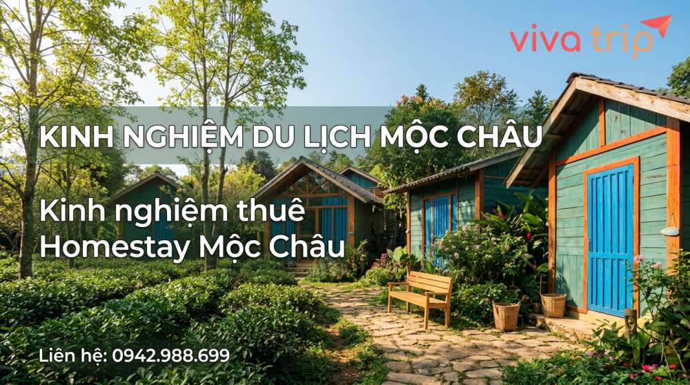 Homestay Mộc Châu View Đồng Cỏ Cho Nhóm: 4 Mùa Cảnh Khác Nhau và Cách Không Bỏ Lỡ