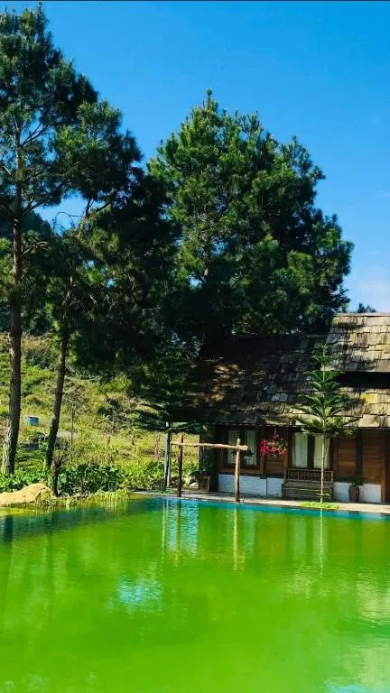 Ảnh phòng 5