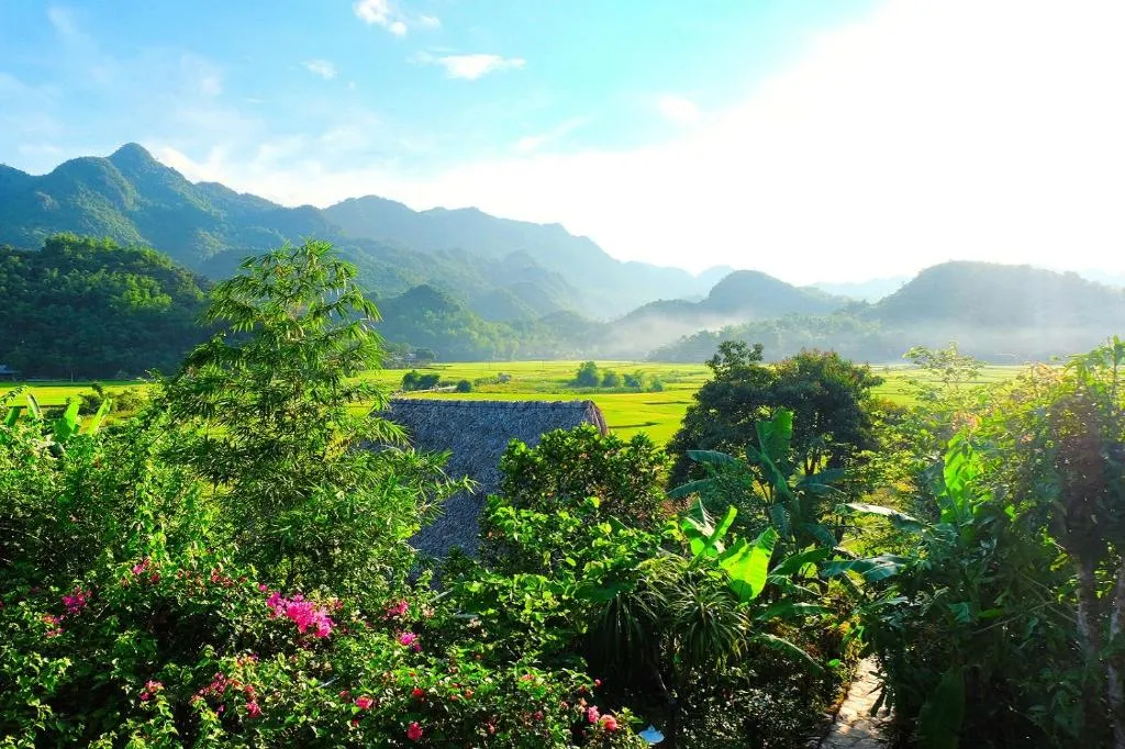 Ảnh phòng 6