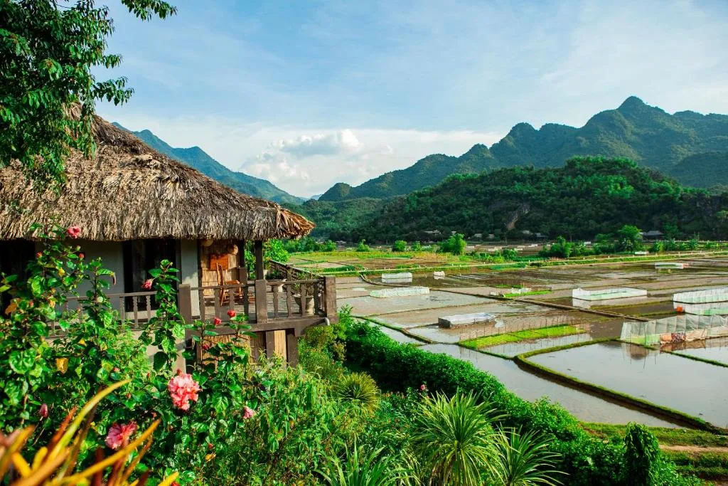 Ảnh phòng 4