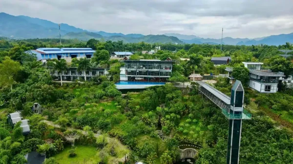 Ảnh Chuồn Chuồn Nghĩa Lộ ( Dragonflynghialo )