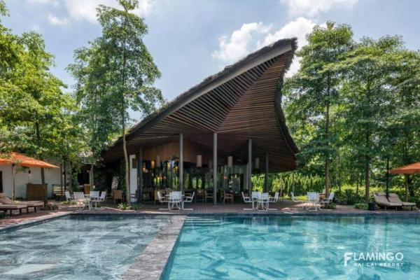 Ảnh Khách sạn Flamingo Đại Lải Resort - 8