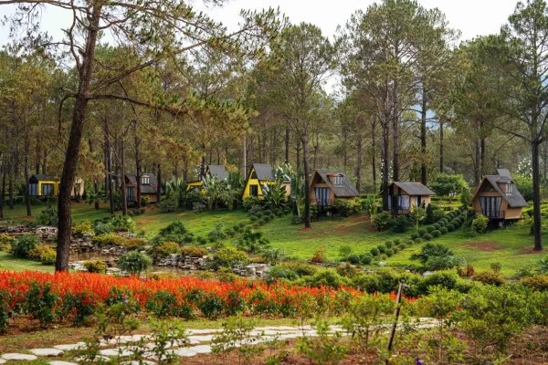 Ảnh Phoenix Mộc Châu Resort - 7