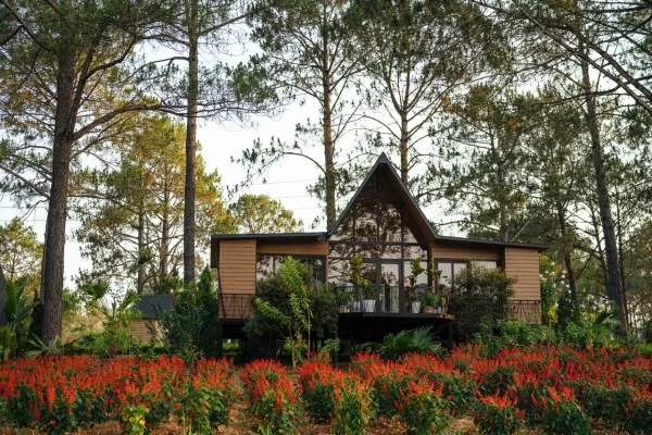 Ảnh Phoenix Mộc Châu Resort - 14