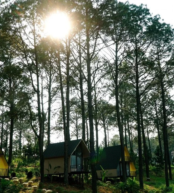 Ảnh Phoenix Mộc Châu Resort - 16