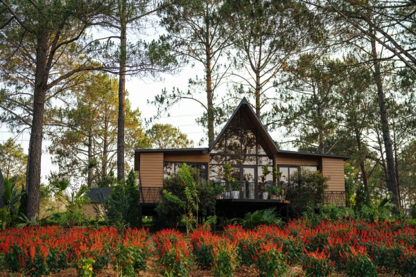 Ảnh chi tiết phòng Phoenix-Mộc-Châu-Resort-FAMILY-vivatrip_02.jpg