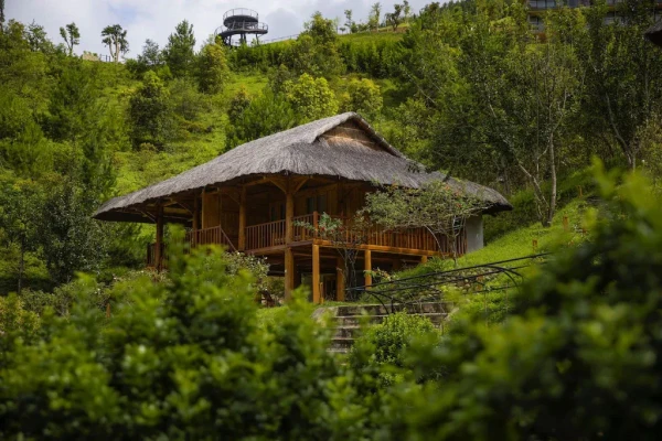 Ảnh chi tiết phòng Studio Bungalow Giường Đôi 9