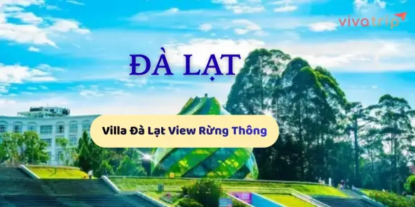 Kinh nghiệm cần biết trước khi thuê Villa Đà Lạt view rừng thông
