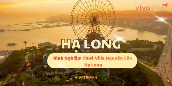 Kinh nghiệm thuê villa nguyên căn Hạ Long: checklist điều khoản, phụ thu...